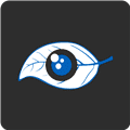 BlueEyesӰ°v5.3.3