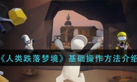 ξ