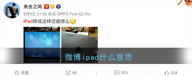 ΢ipadʲô˼