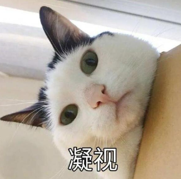 èèʲôر