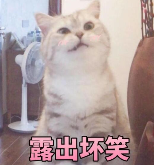 èèʲôر