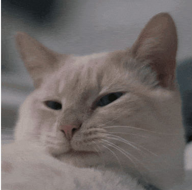 èèʲôر