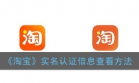 Աʵ֤Ϣ鿴