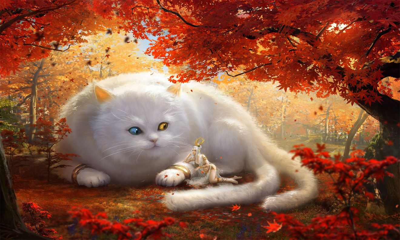 ɽFFȡ