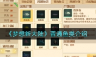 ´½ͨ
