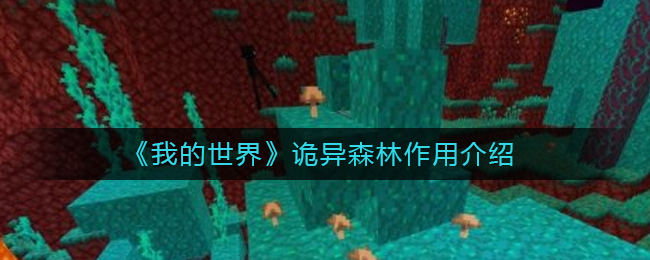 ҵ硷ɭý