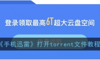 ֻѸסtorrentļ̳