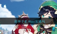 ԭֻpcͨ