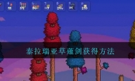 ̩ǡS÷