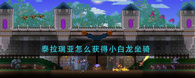 ̩ôС