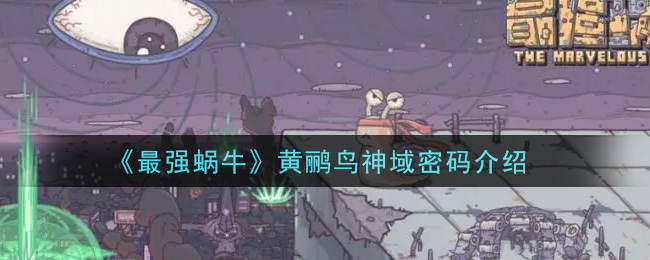 ǿţ