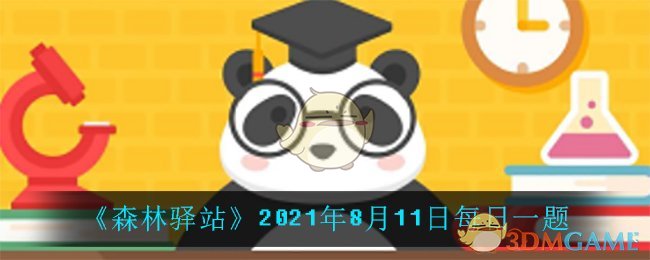 ɭվ2021811ÿһ