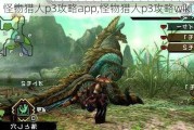 p3app,p3wiki