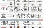 dnf˵װѡ_dnf˵װѡôѡ