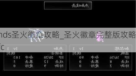 ndsʥ¹_ʥ湥fc