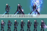 DNF,dnfװ