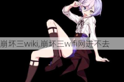wiki,wifiȥ