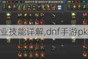 dnfְҵ,dnfpk