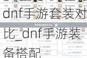 dnfװԱ_dnfװ