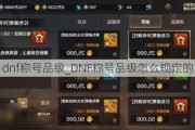 dnfƺƷ_DNFƺƷô涨