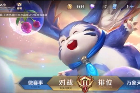 ������ҫ��Ա�ȼ��鿴����