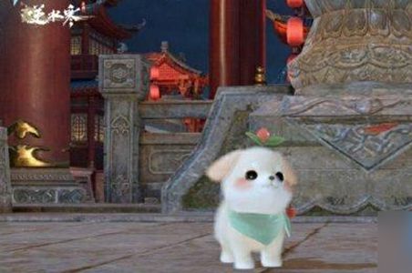 ˮ淨