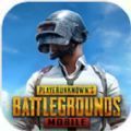 pubgmobileʷ