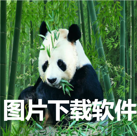ͼƬ