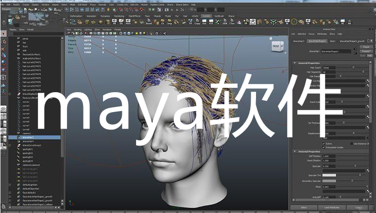 maya