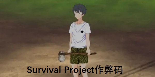 Survival Project Survival Projectָ