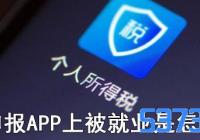 ˰걨appϱҵô_˰걨appΪʲôλ