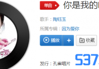 你是我的唯一原唱是谁_你是我的唯一歌词