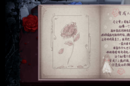 ��ż��粻�ҹ�����������