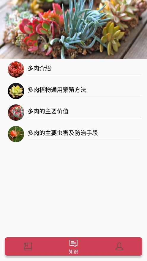 СīռǼ¼