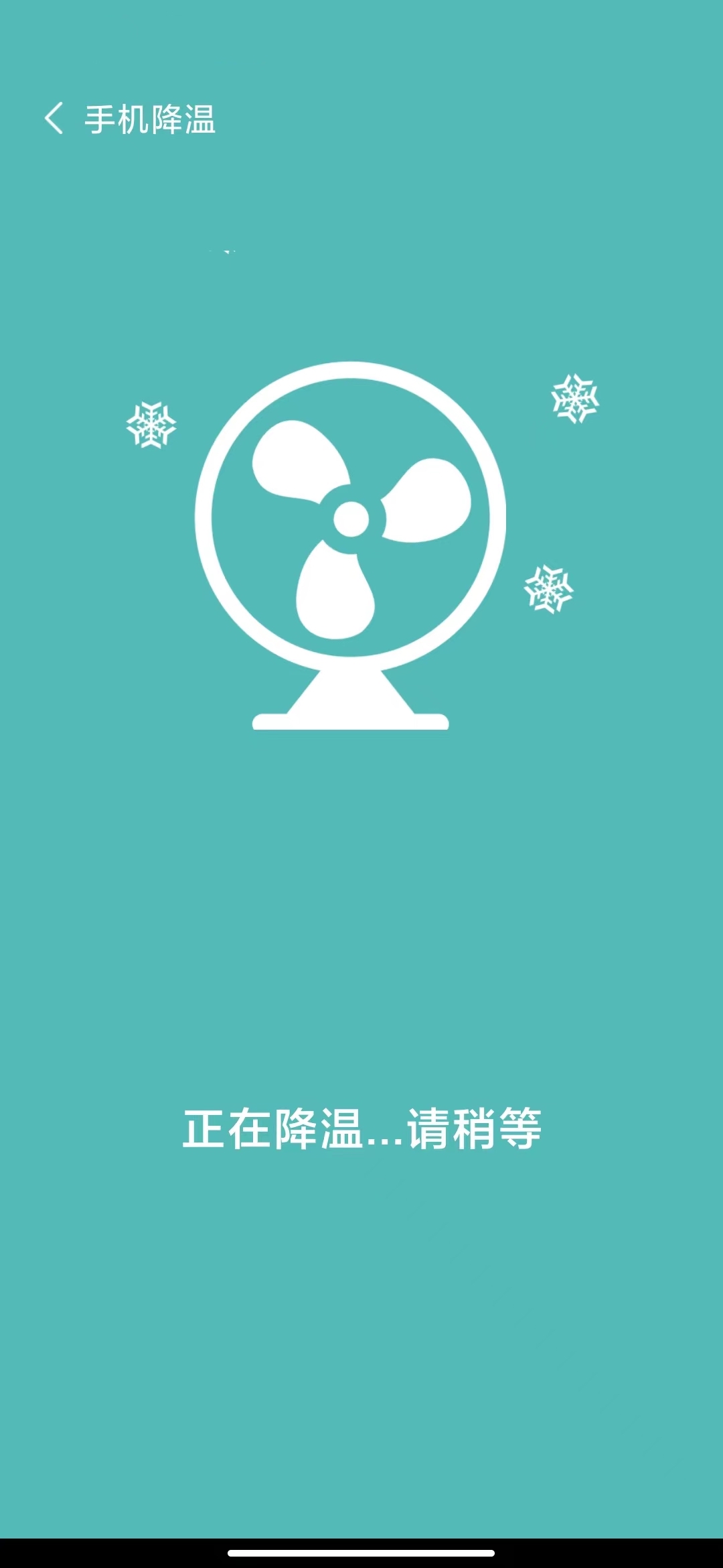 ˫
