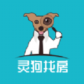 鹷ҷ
