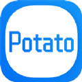 potatoϰ 