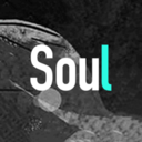 soul׿v3.0.13