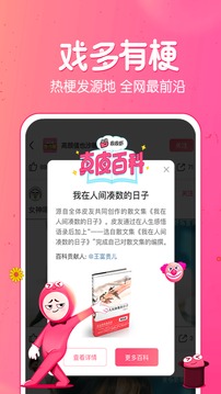 ƤƤϺapp