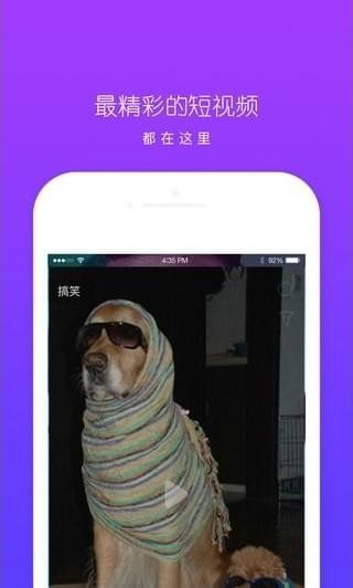 춶Ƶv1.0汾