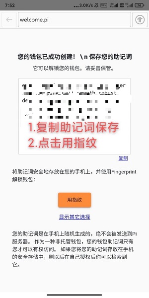 pi browser°2.0