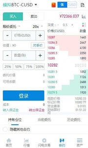 BitMEX
