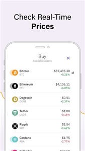 CoinDCX