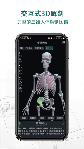 3d