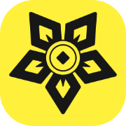 ž