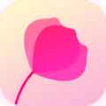 app׿