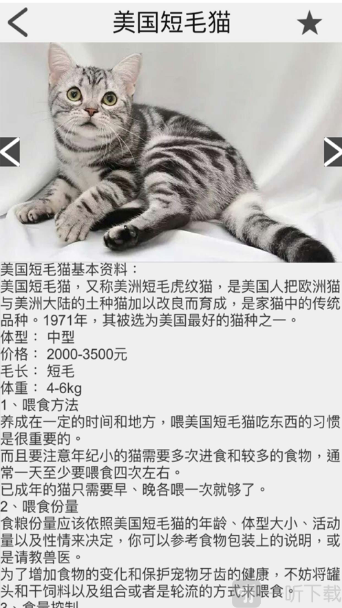 è䲿