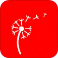 ѹӢ