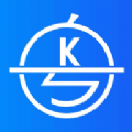 ʮapp