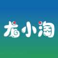 Сapp